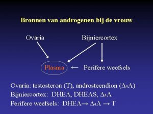 Bronnen van androgenen bij de vrouw Ovaria Bijniercortex