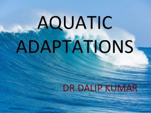 AQUATIC ADAPTATIONS DR DALIP KUMAR AQUATIC ADATATIONS q