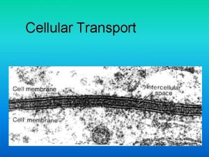 Cellular Transport About Cell Membranes 1 All cells