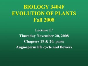 BIOLOGY 3404 F EVOLUTION OF PLANTS Fall 2008