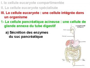 I la cellule eucaryote compartimente II La cellule