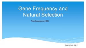 Gene Frequency and Natural Selection Team Brainstormers BS