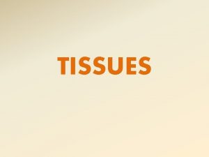 TISSUES Tissues Cells are organized into sheets or