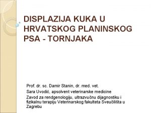 DISPLAZIJA KUKA U HRVATSKOG PLANINSKOG PSA TORNJAKA Prof