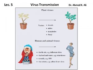 Vertical transmission