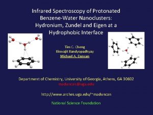 Infrared Spectroscopy of Protonated BenzeneWater Nanoclusters Hydronium Zundel