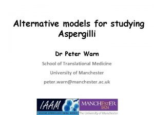 Alternative models for studying Aspergilli Dr Peter Warn