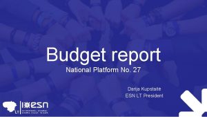 Budget report National Platform No 27 Darija Kupstait