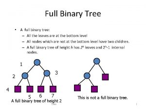 Full Binary Tree A full binary tree All
