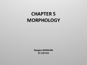 CHAPTER 5 MORPHOLOGY Bengisu KARAHAN 13 132 011