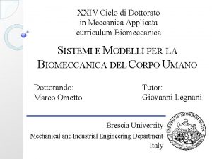 XXIV Ciclo di Dottorato in Meccanica Applicata curriculum