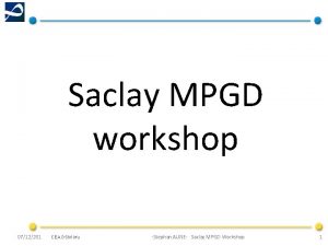 Saclay MPGD workshop 0712201 CEA DSM Irfu Stephan