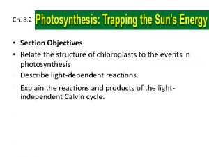 Ch 8 2 Section Objectives Relate the structure