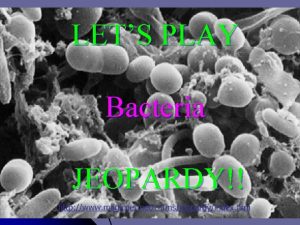 LETS PLAY Bacteria JEOPARDY Jeopardy Bacteria Good Bacteria