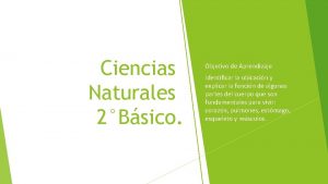 Ciencias Naturales 2Bsico Objetivo de Aprendizaje Identificar la