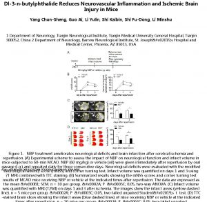 Dl3 nbutylphthalide Reduces Neurovascular Inflammation and Ischemic Brain