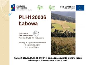 PLH 120036 abowa Wykonawca bik Konrad Kata Werynia