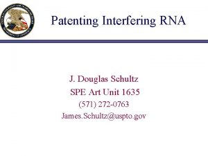 Patenting Interfering RNA J Douglas Schultz SPE Art