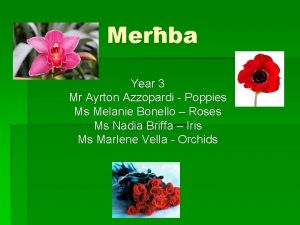 Merba Year 3 Mr Ayrton Azzopardi Poppies Ms