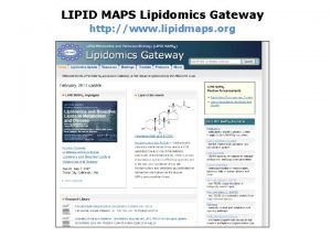 LIPID MAPS Lipidomics Gateway http www lipidmaps org