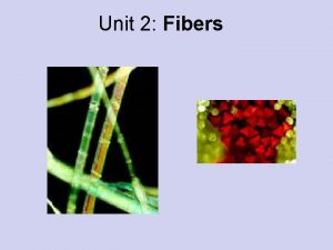 Unit 2 Fibers Fibers Fiber is the smallest