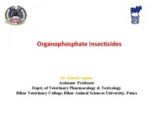 Organophosphate Insecticides Dr Kumari Anjana Assistant Professor Deptt