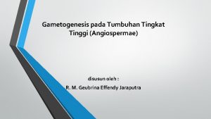 Gametogenesis pada angiospermae terjadi di dalam