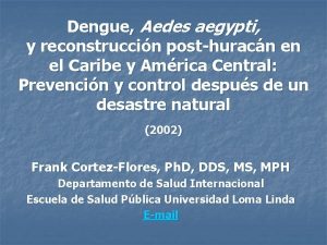 Dengue Aedes aegypti y reconstruccin posthuracn en el