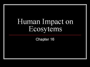 Human Impact on Ecosytems Chapter 16 Human Population