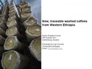 New traceable washed coffees from Western Ethiopia Nordic