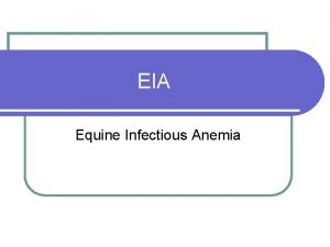 EIA Equine Infectious Anemia What is EIA Equine