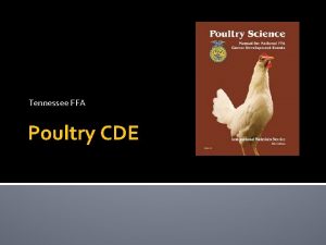 Tennessee FFA Poultry CDE Components of the CDE