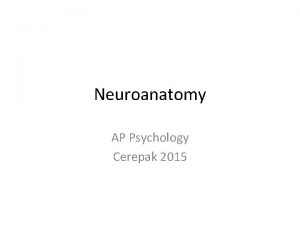 Direction of impulse ap psychology