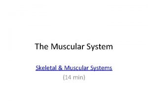 The Muscular System Skeletal Muscular Systems 14 min