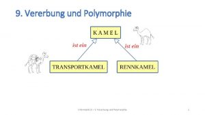 Polymorphie informatik