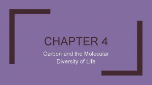 CHAPTER 4 Carbon and the Molecular Diversity of