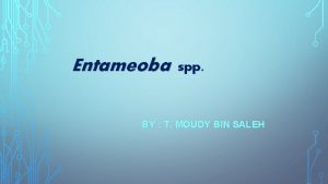 Entameoba coli