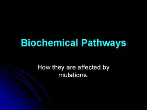 Biochemical Pathways How they are affected by mutations