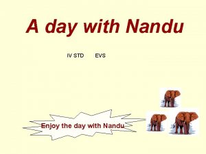 A day with Nandu IV STD EVS Enjoy