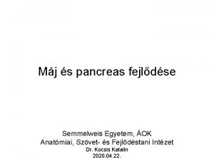Mj s pancreas fejldse Semmelweis Egyetem OK Anatmiai