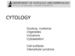 CYTOLOGY Nucleus nucleolus Organelles Inclusions Cytoskeleton Cell surfaces
