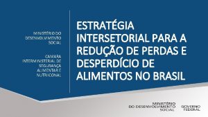 MINISTRIO DO DESENVOLVIMENTO SOCIAL CAMARA INTERMINISTERIAL DE SEGURANA