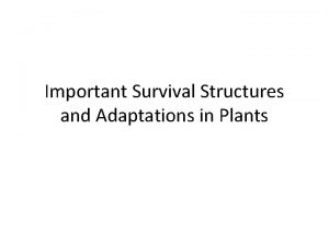 Important Survival Structures and Adaptations in Plants Vascular