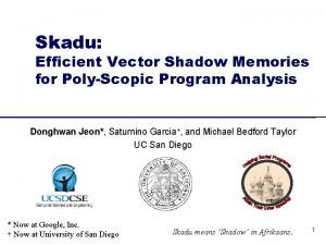 Skadu Efficient Vector Shadow Memories for PolyScopic Program