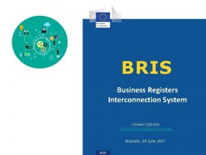 Bris business registers interconnection system