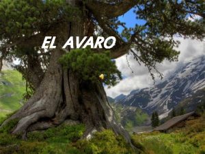 EL AVARO En un bosque habitaba Avaro Un