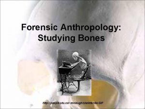 Forensic Anthropology Studying Bones http people stu camclaughskeleton