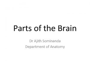 Parts of the Brain Dr Ajith Sominanda Department