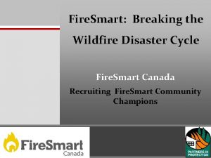 Fire Smart Breaking the Wildfire Disaster Cycle Fire