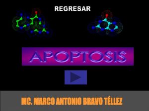 La apoptosis provee un mecanismo para la eliminacin